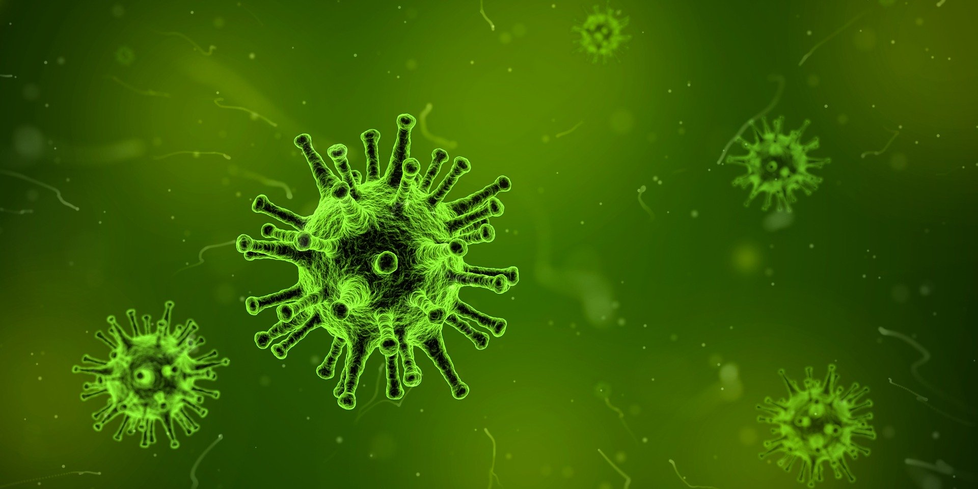 green background with a close-up of a virus, it is round and has several spikes coming off of it