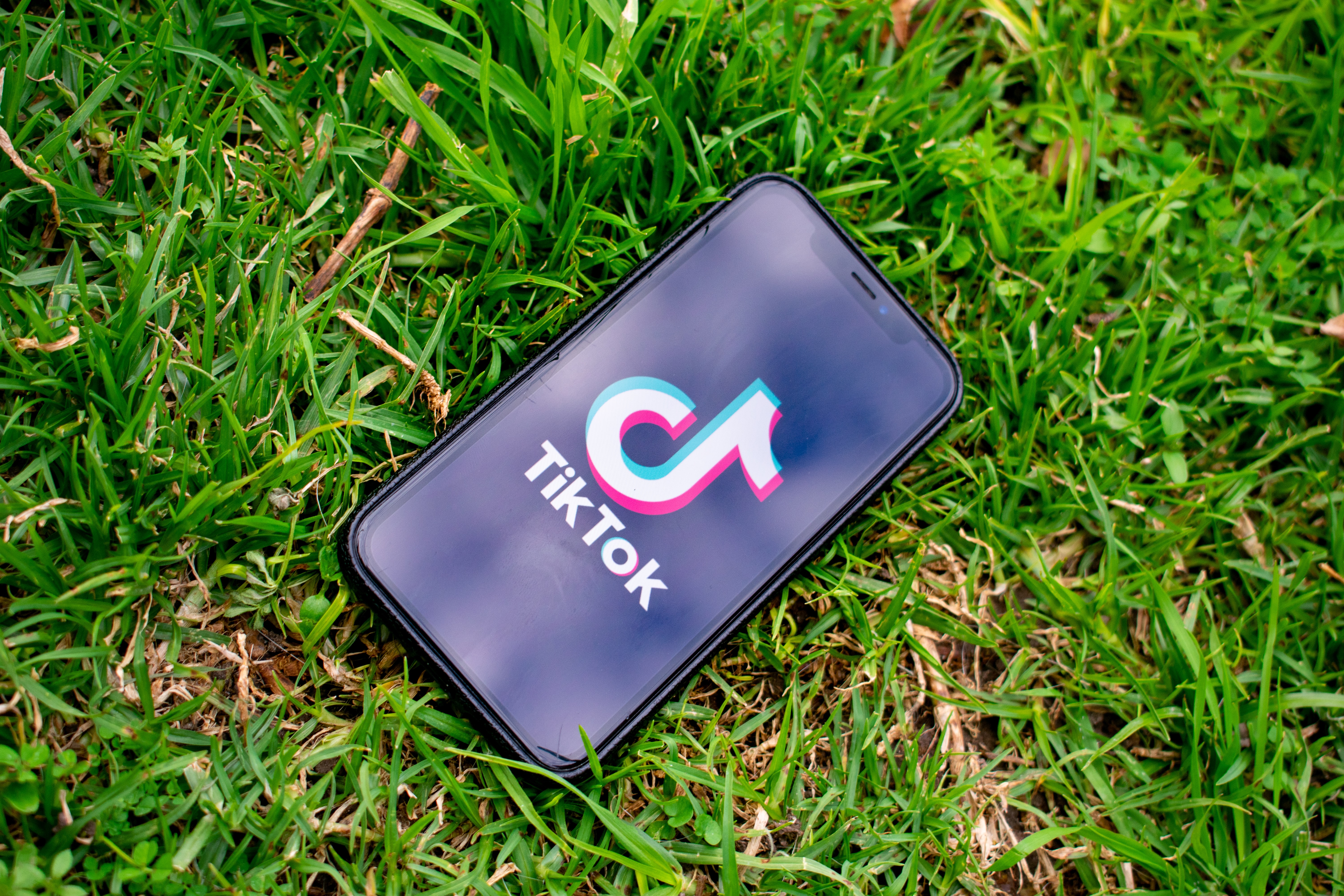 Photo of cell phone on grassy background displaying TikTok logo